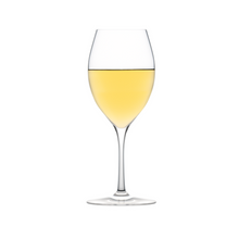 Load image into Gallery viewer, Plumm Everyday The White Wine Glass (Four Pack)