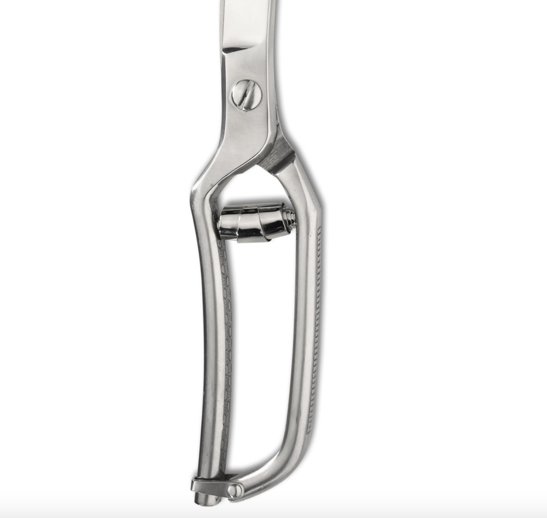 MESSERMEISTER Poultry Shear 10 Inch | Professional Kitchen Scissors