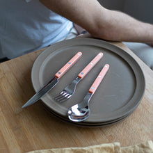 Load image into Gallery viewer, Sabre Paris, Bistro. 16pc cutlery set - Nude Pink
