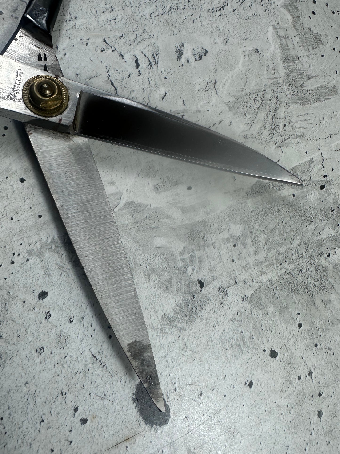 Vintage Ryujiro Kitchen Scissors 170mm Carbon Steel 2156