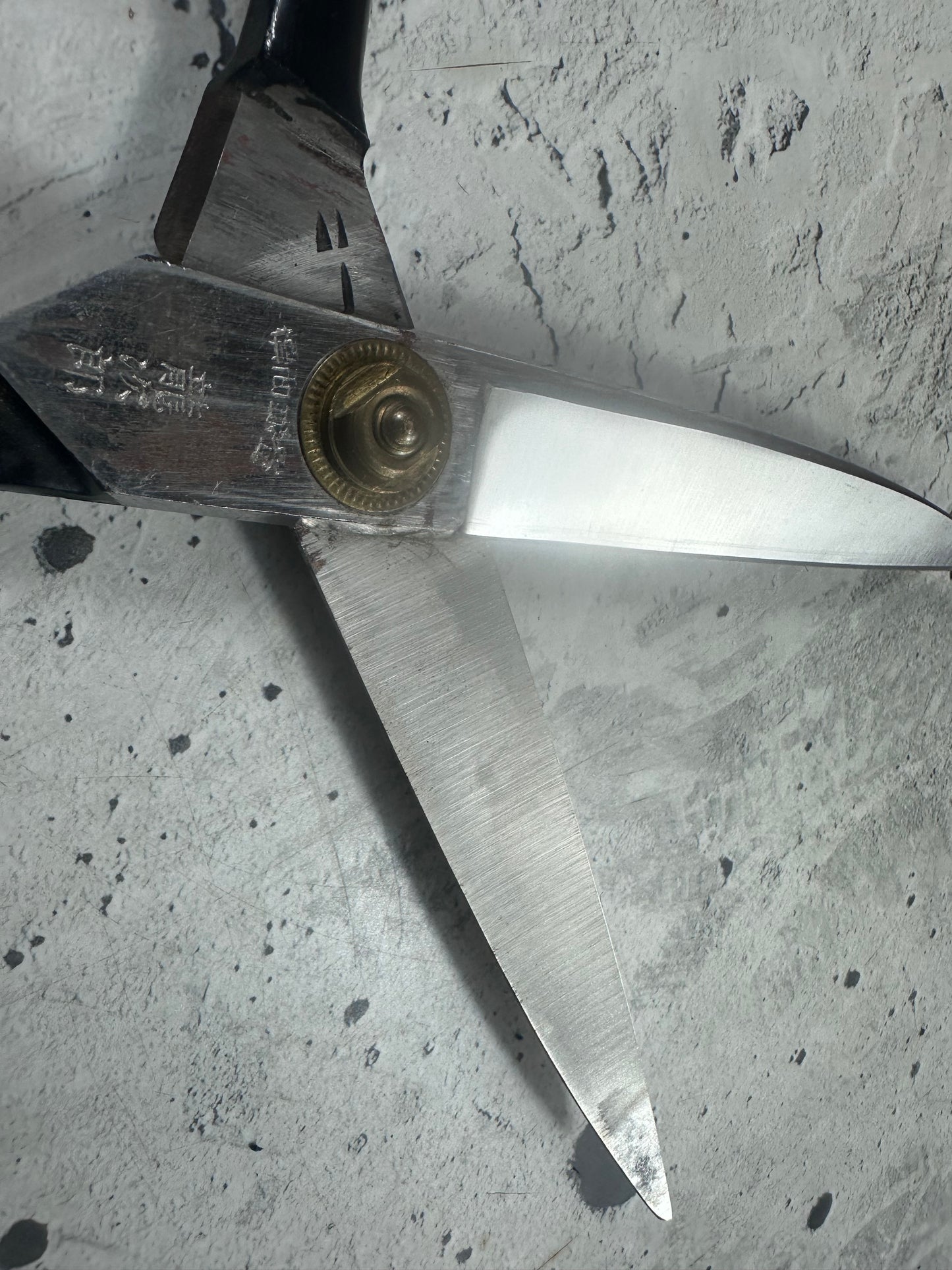 Vintage Ryujiro Kitchen Scissors 170mm Carbon Steel 2156