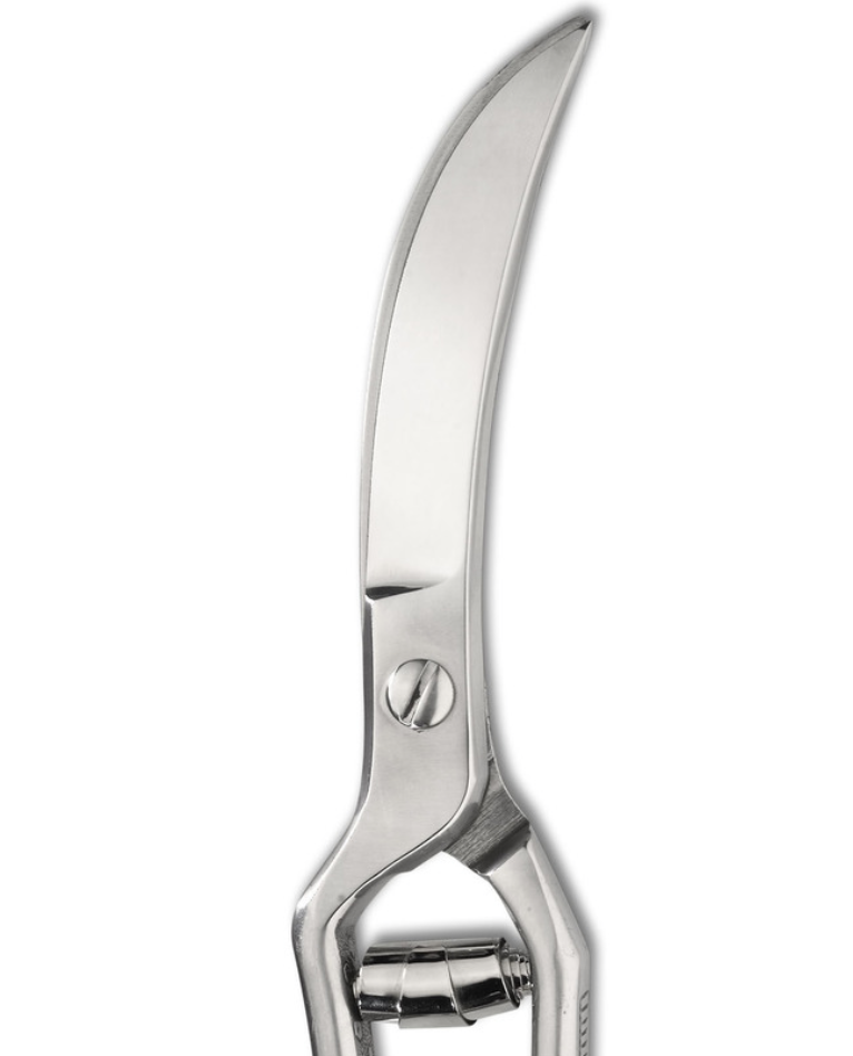MESSERMEISTER Poultry Shear 10 Inch | Professional Kitchen Scissors